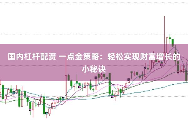 国内杠杆配资 一点金策略：轻松实现财富增长的小秘诀