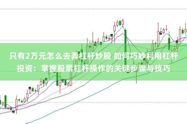 只有2万元怎么去弄杠杆炒股 如何巧妙利用杠杆投资：掌握股票杠杆操作的关键步骤与技巧