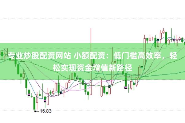 专业炒股配资网站 小额配资：低门槛高效率，轻松实现资金增值新路径