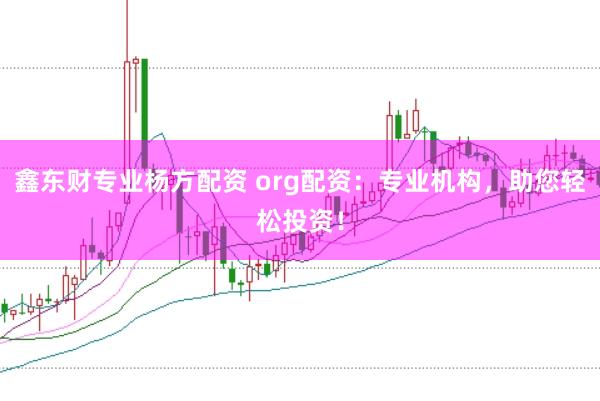 鑫东财专业杨方配资 org配资：专业机构，助您轻松投资！