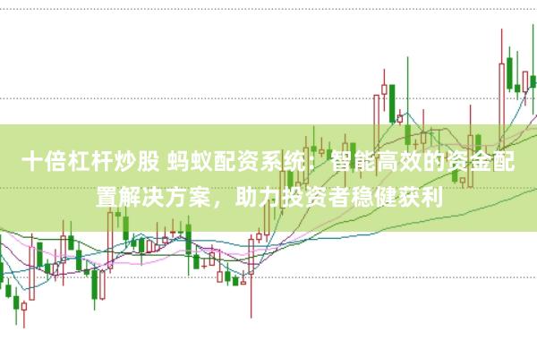 十倍杠杆炒股 蚂蚁配资系统：智能高效的资金配置解决方案，助力投资者稳健获利