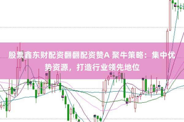股票鑫东财配资翻翻配资赞A 聚牛策略：集中优势资源，打造行业领先地位