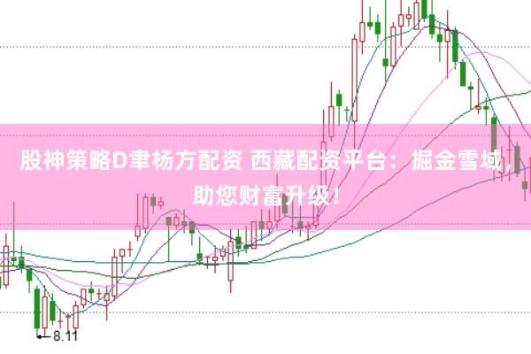 股神策略D聿杨方配资 西藏配资平台：掘金雪域，助您财富升级！