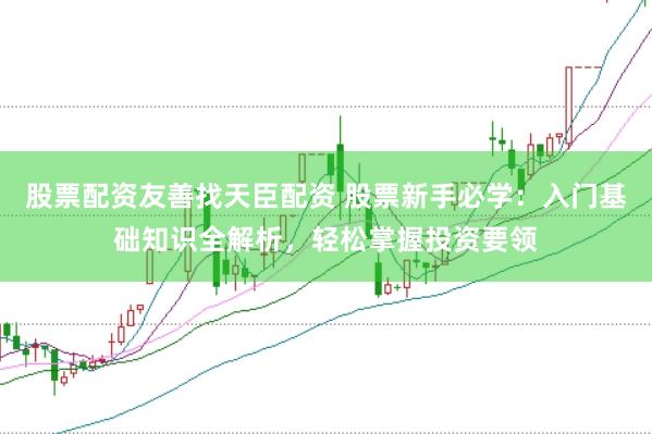股票配资友善找天臣配资 股票新手必学：入门基础知识全解析，轻松掌握投资要领