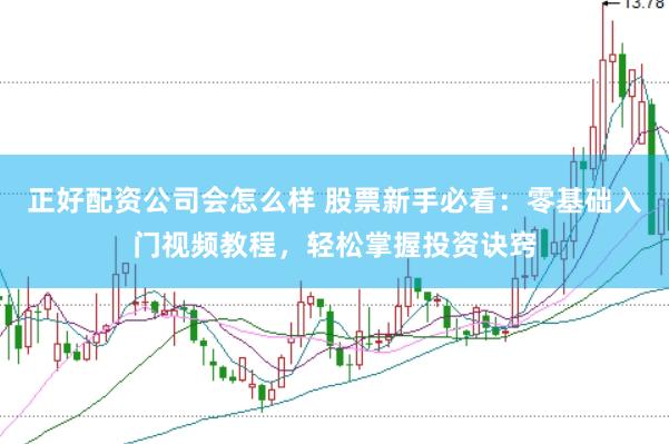 正好配资公司会怎么样 股票新手必看：零基础入门视频教程，轻松掌握投资诀窍