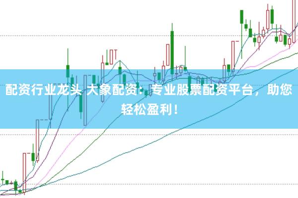 配资行业龙头 大象配资：专业股票配资平台，助您轻松盈利！