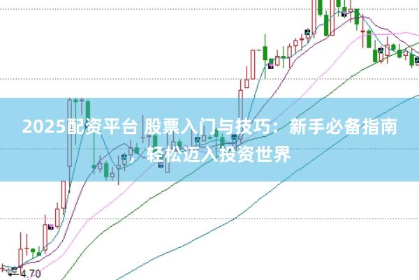 2025配资平台 股票入门与技巧：新手必备指南，轻松迈入投资世界