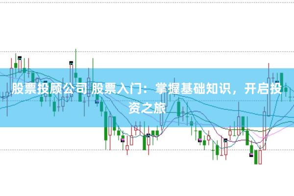股票投顾公司 股票入门：掌握基础知识，开启投资之旅