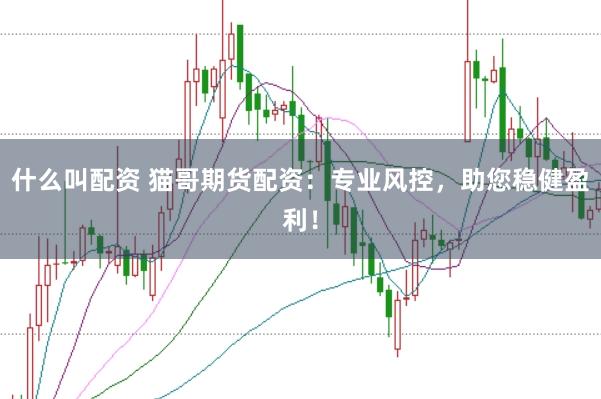 什么叫配资 猫哥期货配资：专业风控，助您稳健盈利！