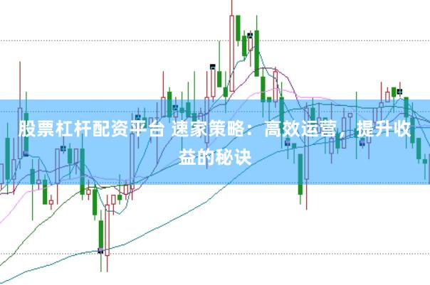 股票杠杆配资平台 速家策略：高效运营，提升收益的秘诀