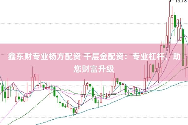鑫东财专业杨方配资 干层金配资：专业杠杆，助您财富升级