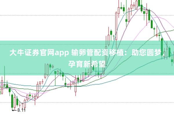 大牛证券官网app 输卵管配资移植:助您圆梦,孕育新希望