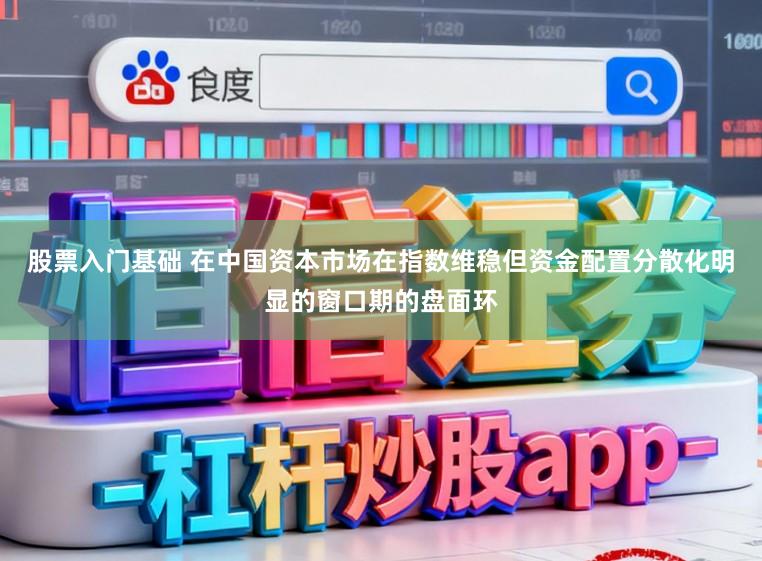 股票入门基础 在中国资本市场在指数维稳但资金配置分散化明显的窗口期的盘面环