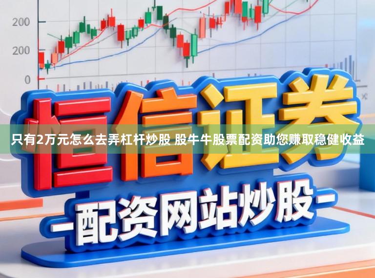 只有2万元怎么去弄杠杆炒股 股牛牛股票配资助您赚取稳健收益